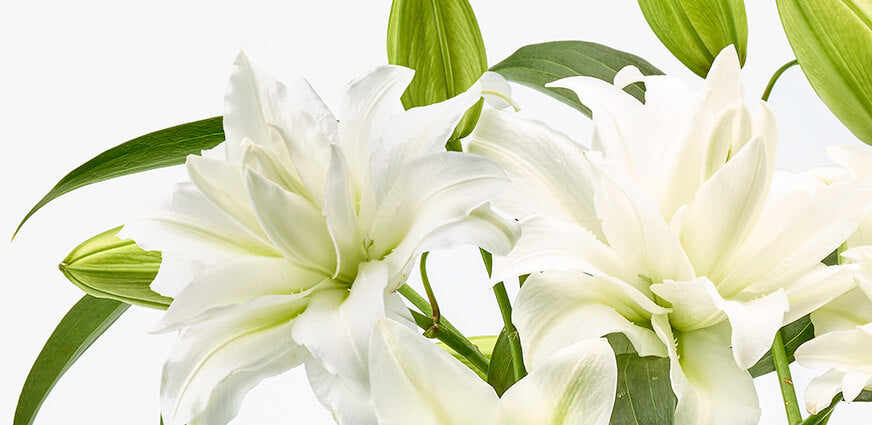 boeket roselilies bestellen