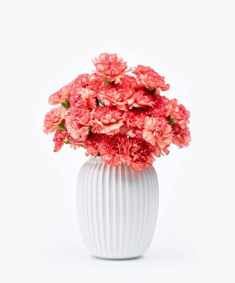 Flame Scarlet | Anjers Flame Scarlet | Anjers