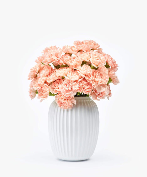 Blush Nude | Anjers nude anjers boeket