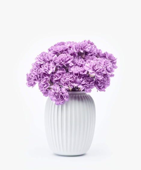 Puffy Lilac | Anjers paarse anjers boeket