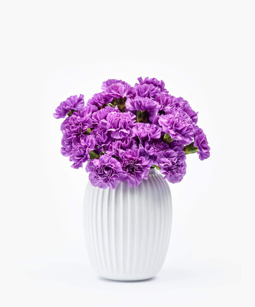 paarse anjers boeket