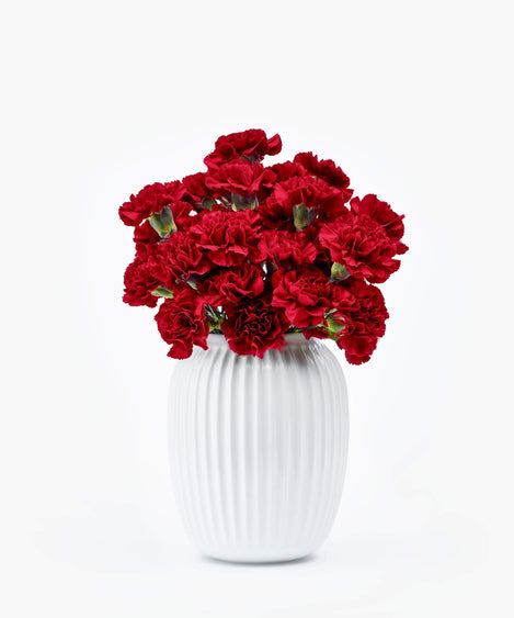 Maroon Red | Anjers boeket rode anjers