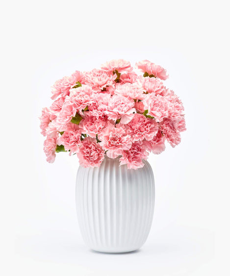 Pink Chiffon | Anjers roze anjers boeket