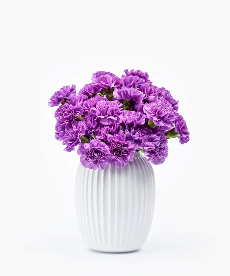 paarse anjers boeket